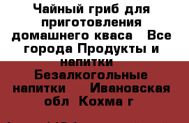 Чайный гриб для приготовления домашнего кваса - Все города Продукты и напитки » Безалкогольные напитки   . Ивановская обл.,Кохма г.